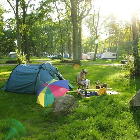 Holiday Village Muritzparadies Am Muritzufer - Dms02138-iya Rechlin